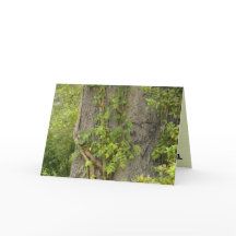 "4 ever?" BREAK-UP greeting card