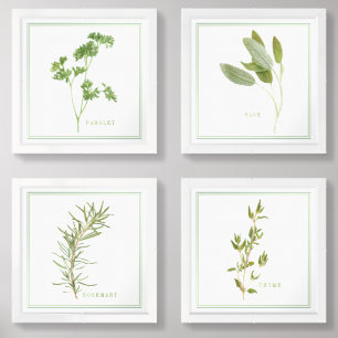 4 FRESH HERBS 12x12 Print Set
