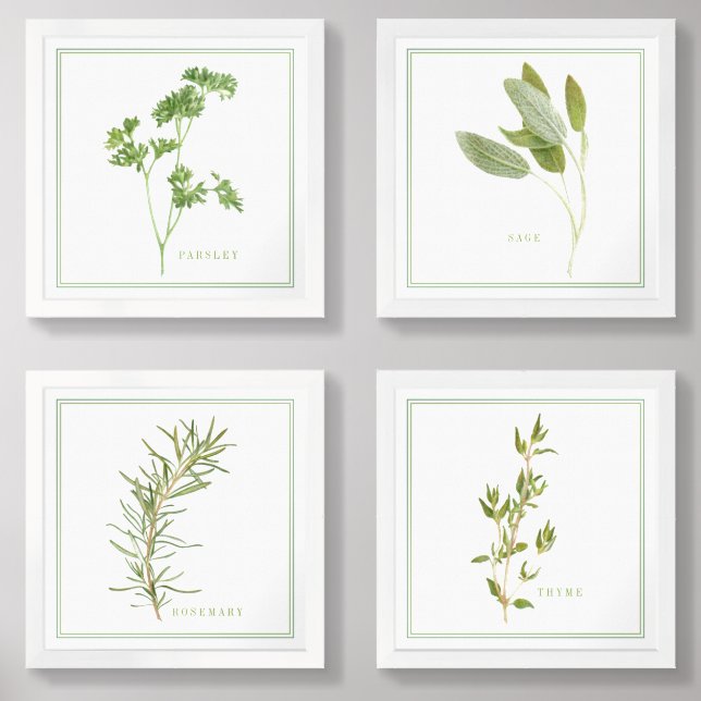 4 FRESH HERBS 12x12 Print Set (Front)