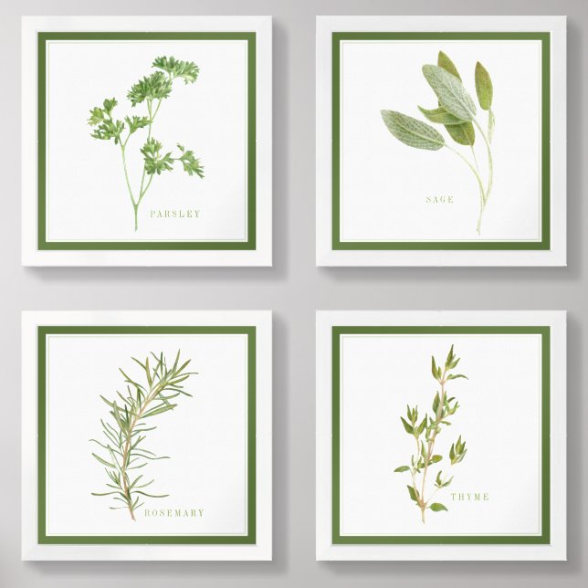 4 FRESH HERBS 12x12 Print Set + Green Border (Front)
