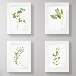 4 FRESH HERBS 5x7 Print Set