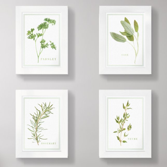 4 FRESH HERBS 5x7 Print Set (Front)