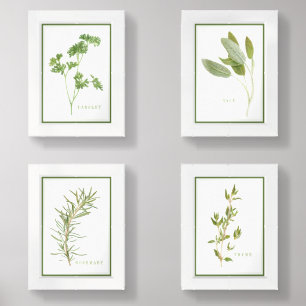 4 FRESH HERBS 5x7 Print Set + Green Border