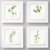 4 FRESH HERBS 6x6 Print Set