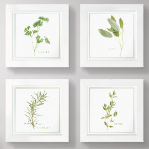 4 FRESH HERBS 6x6 Print Set