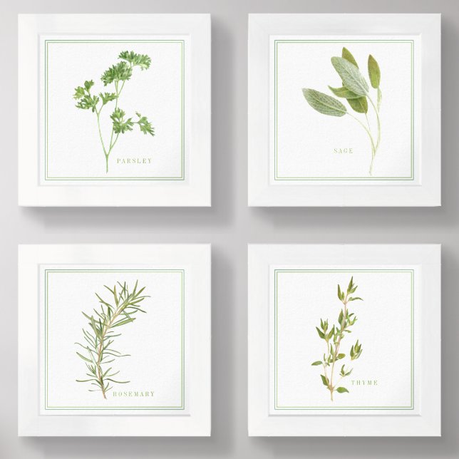 4 FRESH HERBS 6x6 Print Set (Front)