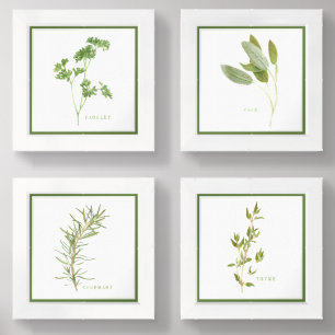 4 FRESH HERBS 6x6 Print Set + Green Border