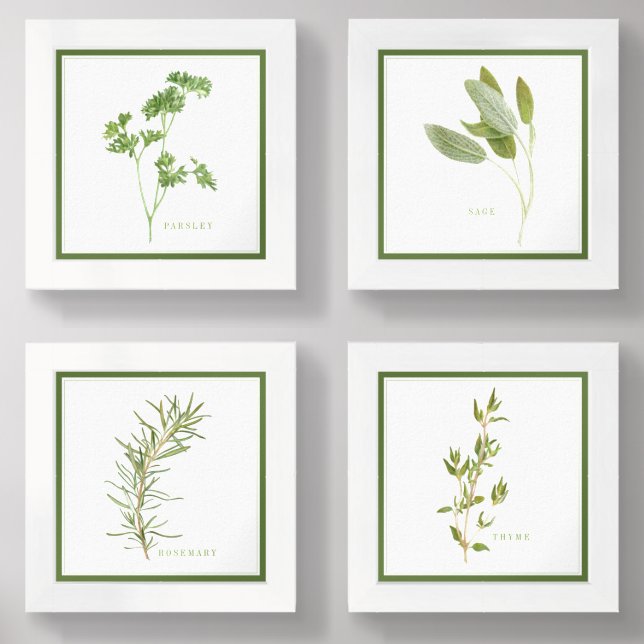 4 FRESH HERBS 6x6 Print Set + Green Border (Front)