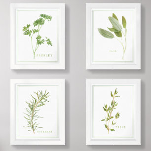 4 FRESH HERBS 8x10 Print Set