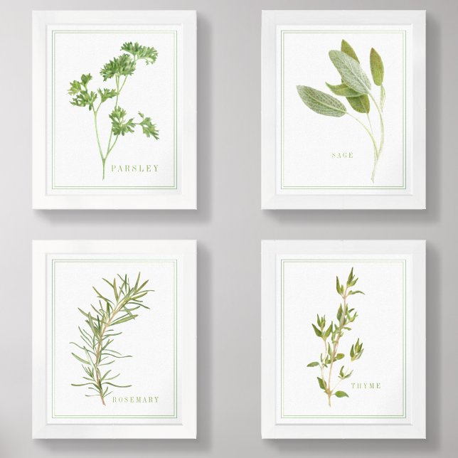 4 FRESH HERBS 8x10 Print Set (Front)