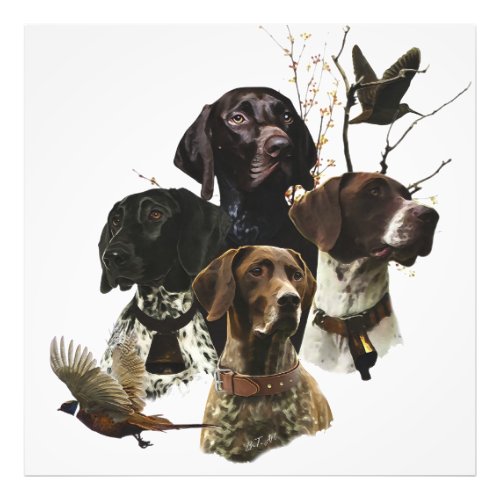 4 German Shorthaired Pointer Colors  Photo Print