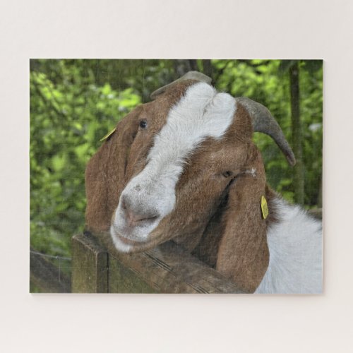 4_H Boer Goat Farm Jigsaw Puzzle