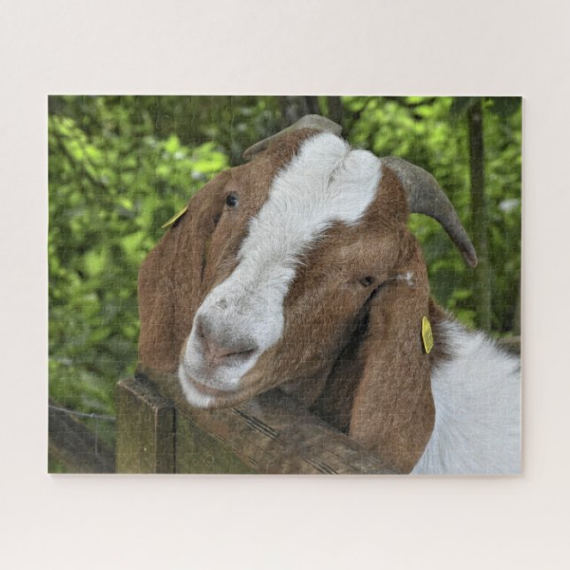 4-H Boer Goat Farm Jigsaw Puzzle (Horizontal)