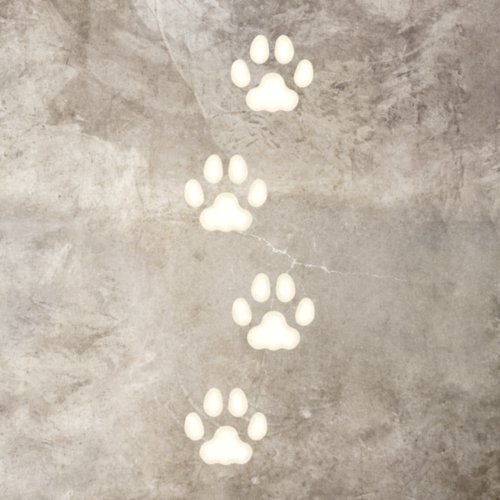 4 Ivory Large Cat Paw Prints Animal Tracks Floor Decals