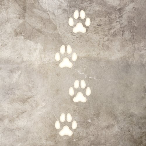 4 Ivory Large Dog Paw Prints Canine Tracks Floor Decals