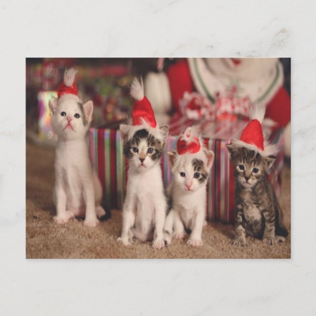 4 Kittens Christmas Card (Front)