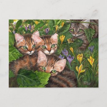 4 Kittens Crocus Postcard by KMCoriginals at Zazzle