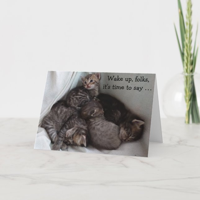 4 Kittens on a funny Birthday Card (Front)