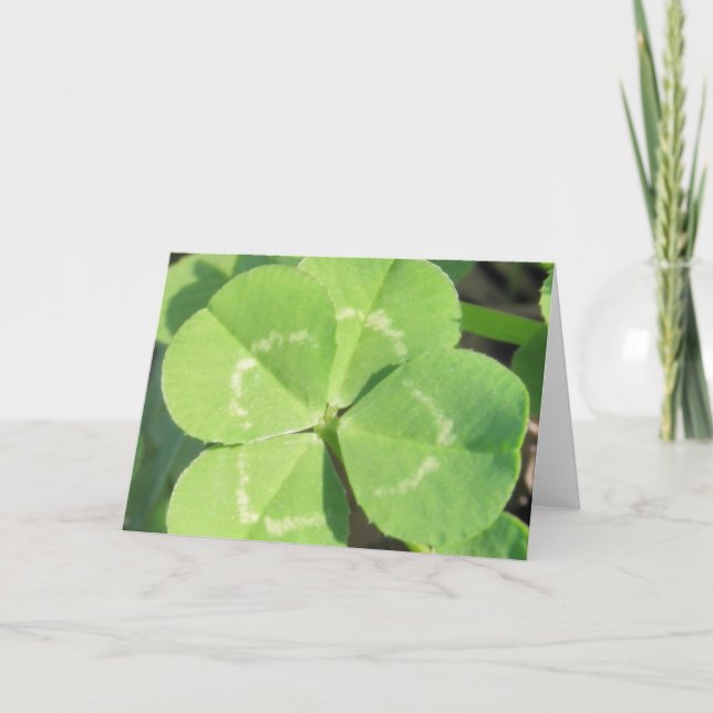 4 Leaf Clover Good Luck Charm Card (Front)
