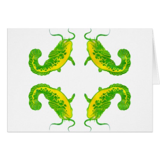 4 Lucky Fish (Front Horizontal)