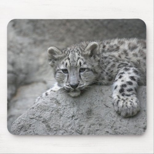 4 month old Snow leopard cub draped over a rock Mouse Pad