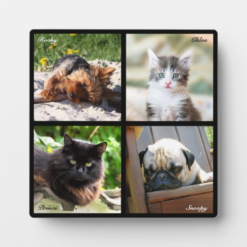 4 Pet Photo Collage Memorial on Black _ Square Plaque