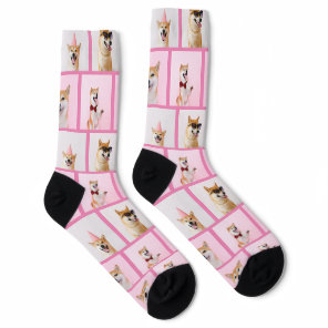 4 Photo Collage Template Make Your Own Dog Themed Socks