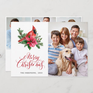 4 PHOTO Poinsettia Red Cardinal Christmas Greeting Holiday Card