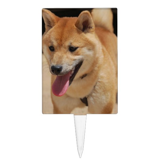 4 Shiba Inupng Cake Topper