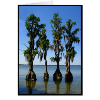 4 Trees Cards