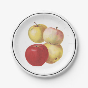 4 vintage apples illustrated paper plate
