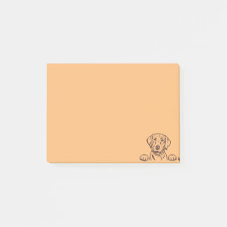 4”x3” Chocolate Lab Notes