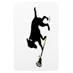 4"x6" Magnet Black Lab Playing Lacrosse