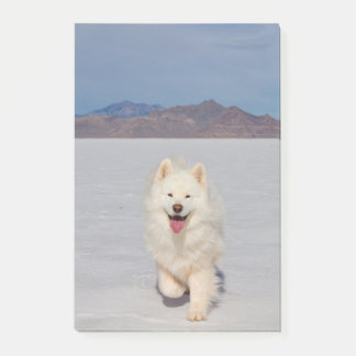 4"x6" Notes - Salt Flats