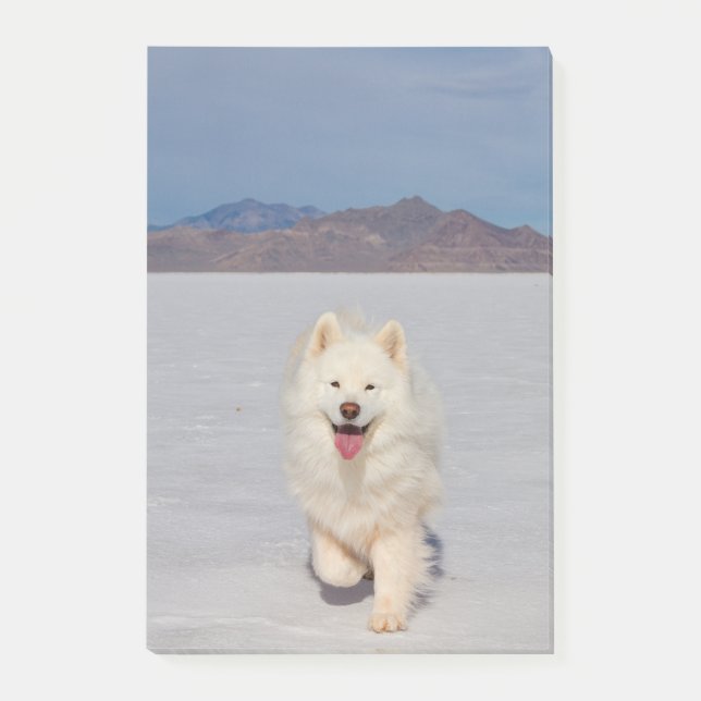 4"x6" Notes - Salt Flats (Front)