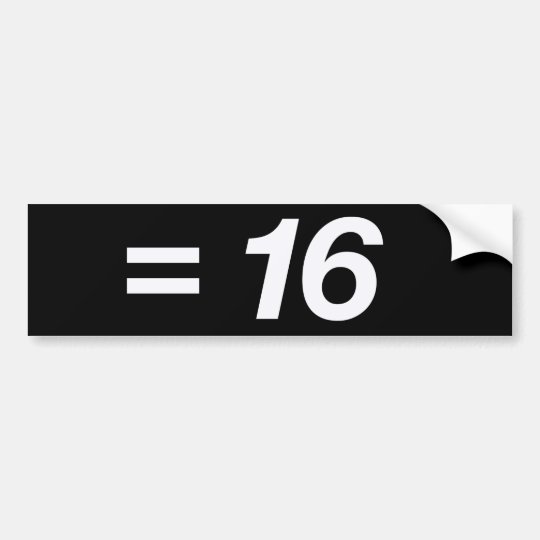 4 x 4 equals 16 bumper sticker