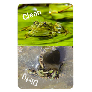 4" x 6" Clean/Dirty Frog Photo Dishwasher Magnet