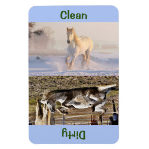 4" x 6" Clean/Dirty Horse Photo Dishwasher Magnet