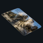 4" x 6" Flexible Photo Magnet<br><div class="desc">I was alone at Mammoth Hot Springs on a winter day. It was so peaceful! All of a sudden, an explosion of light filtered through the trees and formed something like a halo at the top near the spot where I was standing. There was a sound... maybe like a soft...</div>