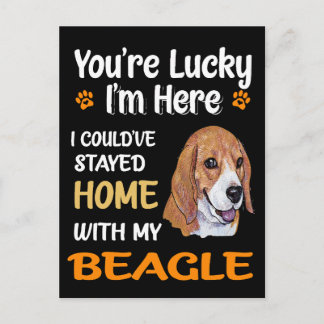 4 You Are Lucky Home With My Beagle Postcard