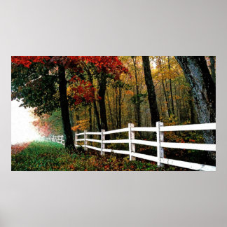 4b oil detailed poster