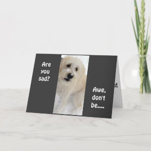 "4oth" BIRTHDAY YOU CAN STILL PLAY BALL Card