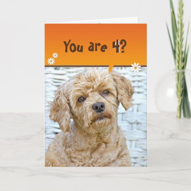 4th birthday brown poodle on wicker card (Front)