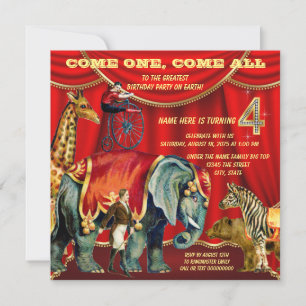 4th Birthday Party Invitation