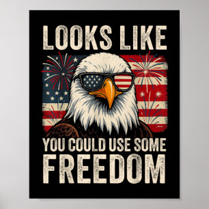 4th July Us Flag Meme Looks Like You Could Use Som Poster