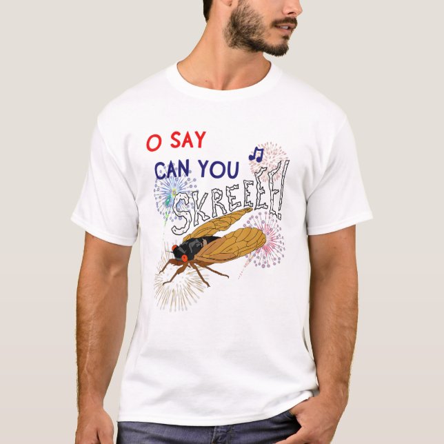 4Th Of July 17 Year Cicadas Funny Meme Quote Firew T-Shirt (Front)