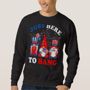 4th Of July American Gnomes Celebrating Just Here Sweatshirt