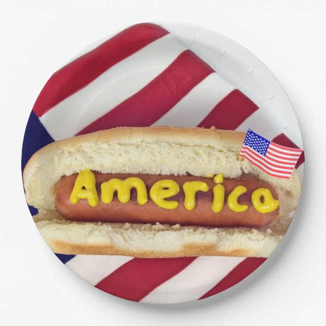 4th Of July BBQ Party Paper Plates (Front)