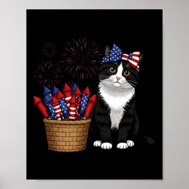 4th Of July Cat And Fireworks Design For Men Women Poster (Front)