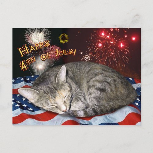 4th of July Cat and Fireworks Postcard